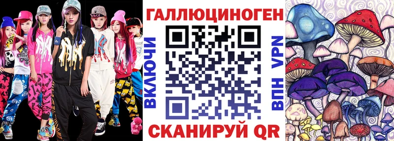Псилоцибиновые грибы Psilocybe  Северская 