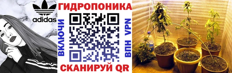 Канабис LSD WEED как найти наркотики МЕГА ТОР Северская